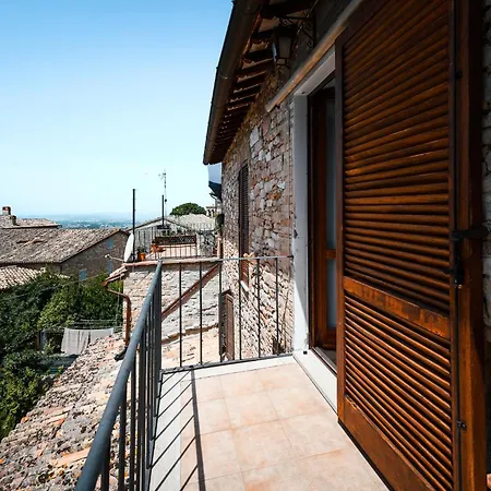 Гостевой дом Roof Garden